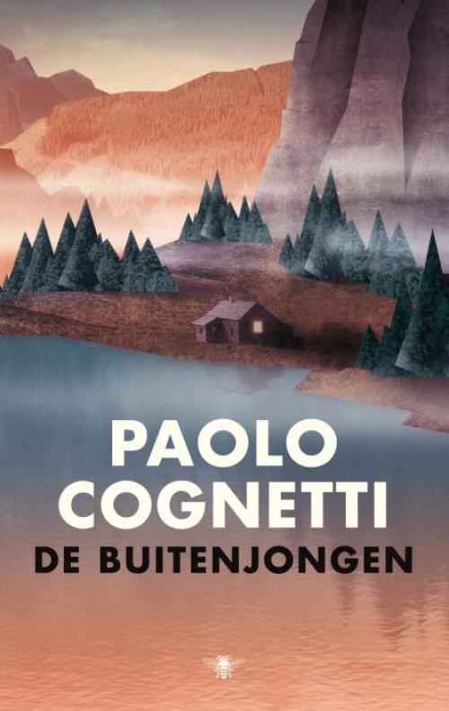 Dit is de afbeelding van het boek De buitenjongen