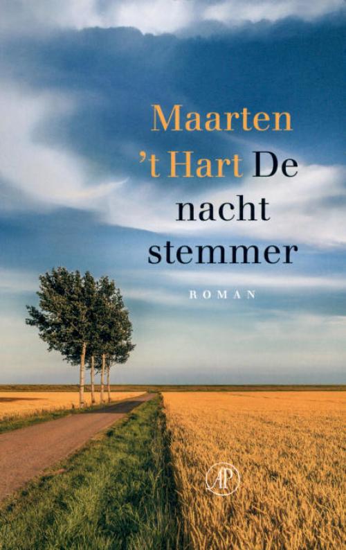 Dit is de afbeelding van het boek De nachtstemmer